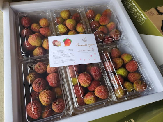 眼鏡伯荔枝禮盒內附玉荷包食用小卡